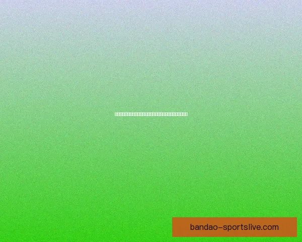 世界杯竞猜盘口预测分析与投注策略全解，助你轻松赢取精彩大奖